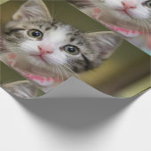 緑色の目をした可愛い子猫 ラッピングペーパー (角)