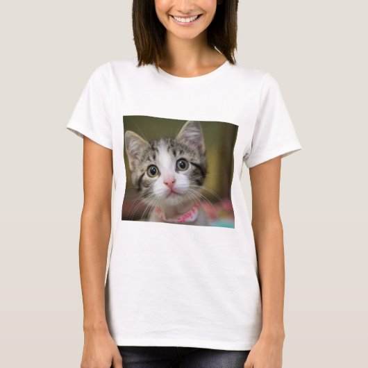 緑色の目をした可愛い子猫 Tシャツ (正面)