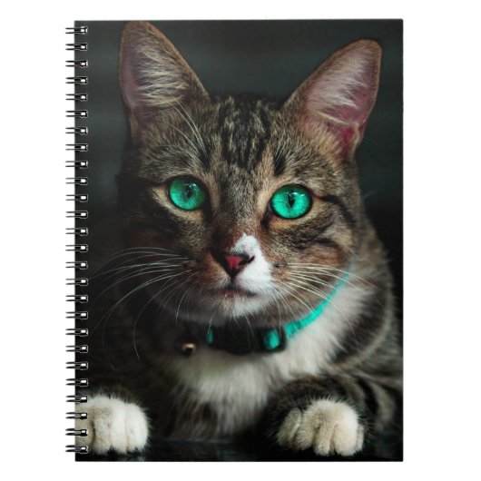緑色の目をした猫 ノートブック (正面)