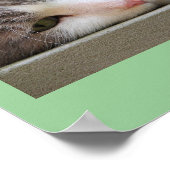 緑色の目をした猫 ポスター (角)