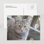 緑色の目をした猫 ポストカード (正面/裏面)