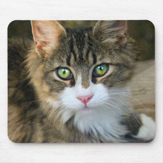 緑色の目をした猫 マウスパッド (正面)