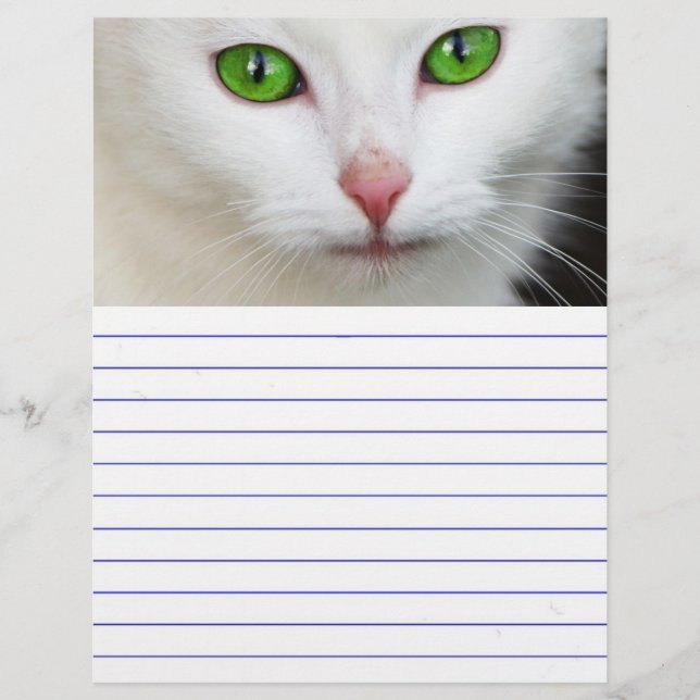 緑色の目をした白猫 (正面)