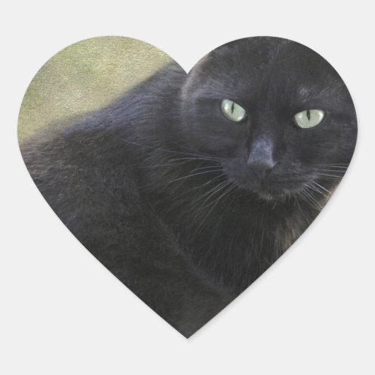 緑色の目をした黒猫 ハートシール (正面)