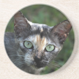 緑色の目を持つ灰色の茶色の白い猫 コースター