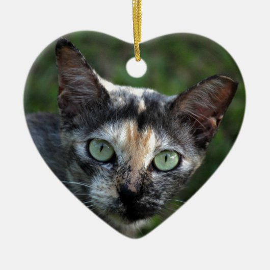 緑色の目を持つ灰色の茶色の白い猫 セラミックオーナメント (正面)