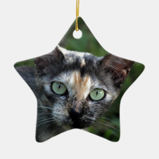緑色の目を持つ灰色の茶色の白い猫 セラミックオーナメント (正面)