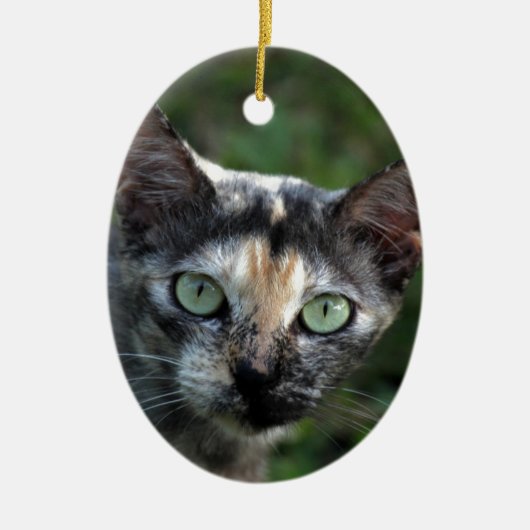 緑色の目を持つ灰色の茶色の白い猫 セラミックオーナメント (正面)