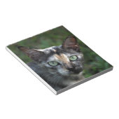 緑色の目を持つ灰色の茶色の白い猫 ノートパッド (アングル)