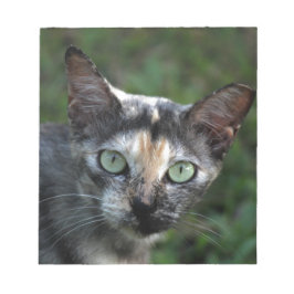 緑色の目を持つ灰色の茶色の白い猫 ノートパッド