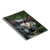 緑色の目を持つ灰色の茶色の白い猫 ノートブック (右側)