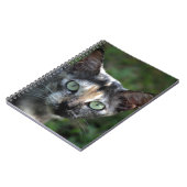 緑色の目を持つ灰色の茶色の白い猫 ノートブック (左側)