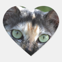 緑色の目を持つ灰色の茶色の白い猫