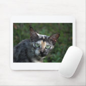 緑色の目を持つ灰色の茶色の白い猫 マウスパッド (マウス)