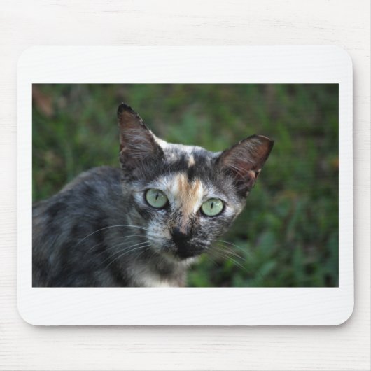 緑色の目を持つ灰色の茶色の白い猫 マウスパッド (正面)