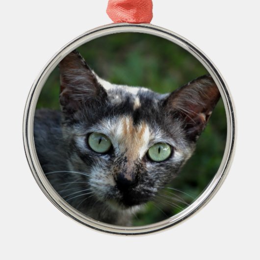 緑色の目を持つ灰色の茶色の白い猫 メタルオーナメント (正面)