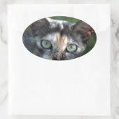 緑色の目を持つ灰色の茶色の白い猫 楕円形シール (バッグ)