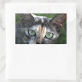 緑色の目を持つ灰色の茶色の白い猫 長方形シール (バッグ)