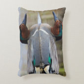 緑色の翼のティール(緑がかった色) アクセントクッション (正面(垂直))