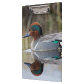 緑色の翼のティール（緑がかった色） クリップボード (左)