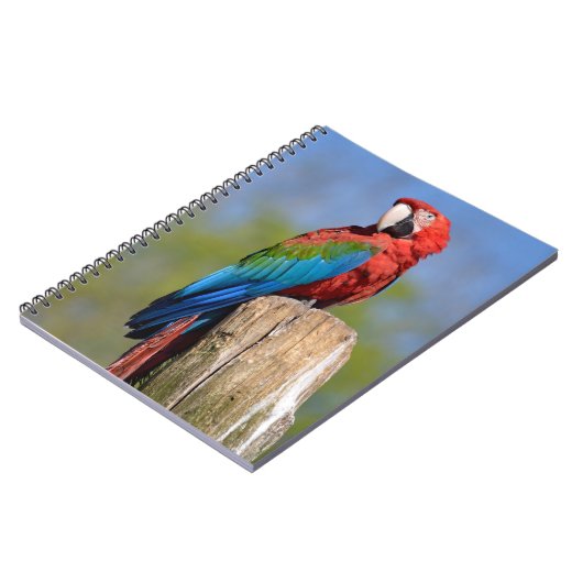 緑色の翼を持つマカオが止まっている ノートブック (左側)