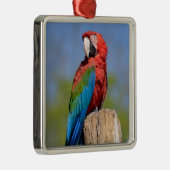 緑色の翼を持つマカオが止まっている メタルオーナメント (右)