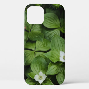 緑色の花を持つ葉白花 iPhone 12ケース