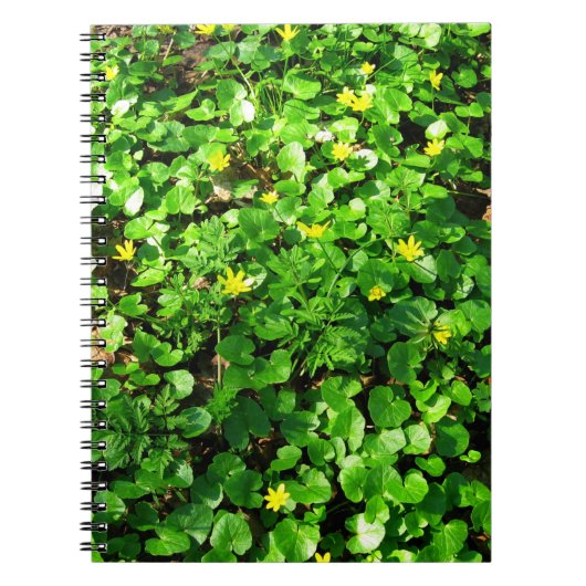 緑色の葉 ノートブック (正面)