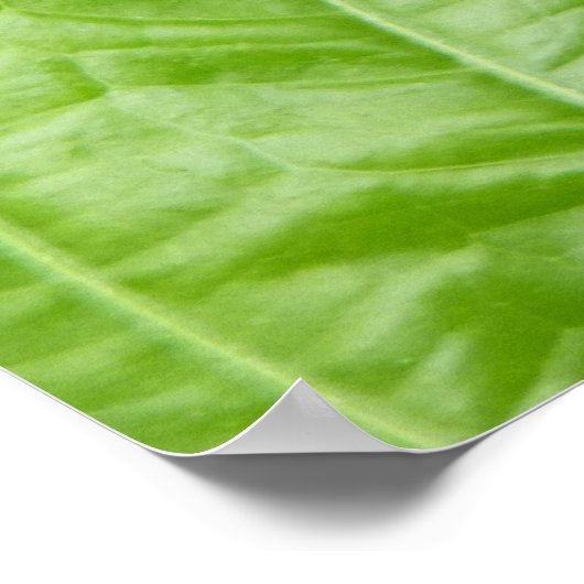 緑色の蝶 ポスター (角)