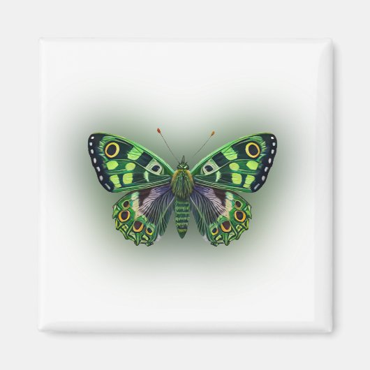 緑色の蝶 マグネット (正面)