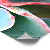 緑色はっきりしたサボテン吸汁性フォト美しいスクリプト ポスター (角)