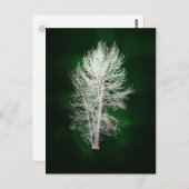 緑色フェイクの木はがき ポストカード (正面/裏面)