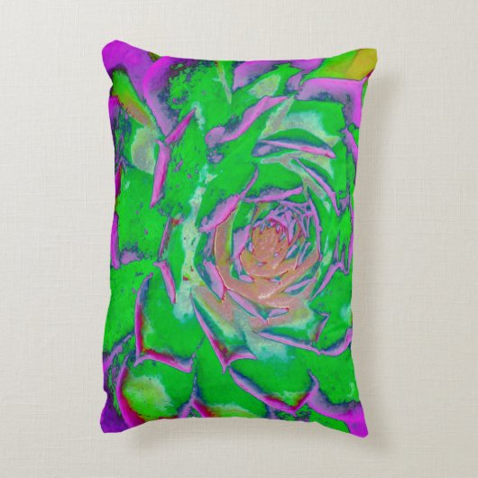 緑色及びマゼンタ多汁性セダムロゼット アクセントクッション (裏面(縦))