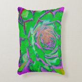 緑色及びマゼンタ多汁性セダムロゼット アクセントクッション (正面(垂直))