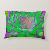 緑色及びマゼンタ多汁性セダムロゼット アクセントクッション (裏面)