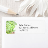 緑色多肉株結婚の住所 シール (インサイチュ)