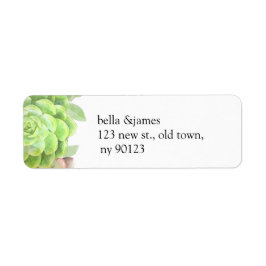 緑色多肉株結婚の住所 シール
