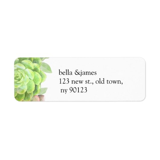 緑色多肉株結婚の住所 シール (正面)