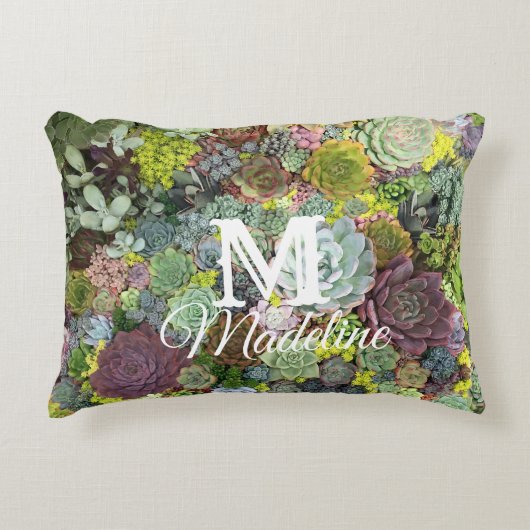 緑色多肉株 アクセントクッション (正面)