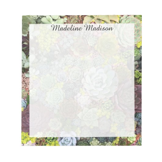 緑色多肉株 ノートパッド (正面)