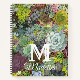緑色多肉株 ノートブック