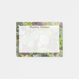 緑色多肉株 ポストイット