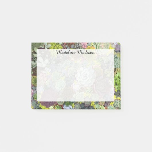 緑色多肉株 ポストイット (正面)