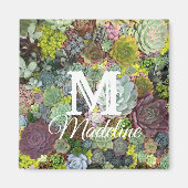 緑色多肉株 マグネット (正面)