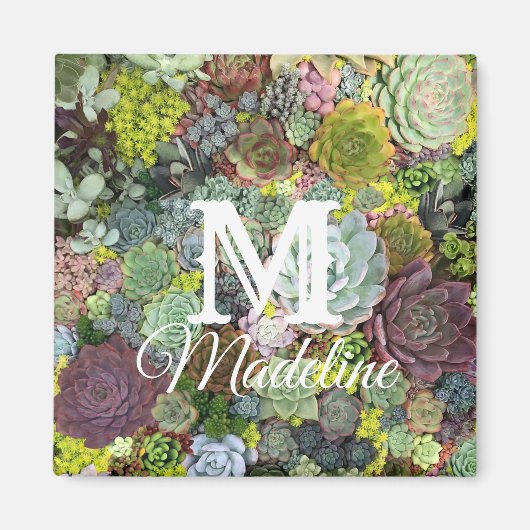 緑色多肉株 マグネット (正面)