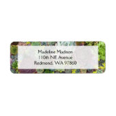 緑色多肉株 ラベル (正面)