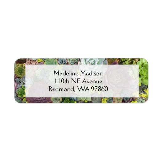 緑色多肉株 ラベル (正面)