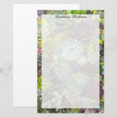 緑色多肉株 便箋 (正面/裏面)