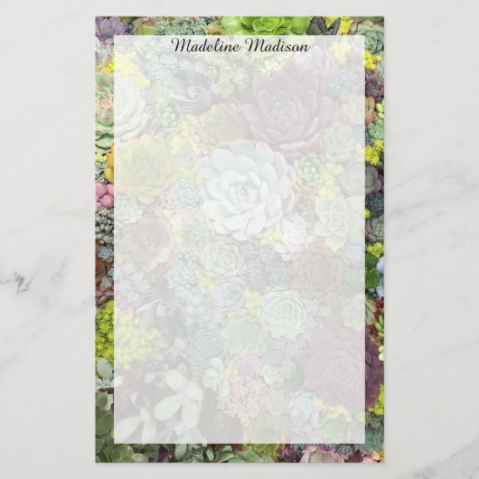 緑色多肉株 便箋 (正面)