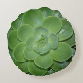 緑色多肉植物体 ラウンドクッション (裏面)